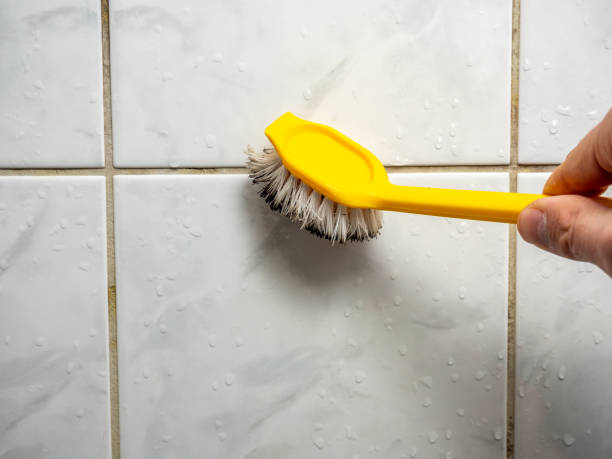 Best Attic Mold Removal  in Garrison, ND
