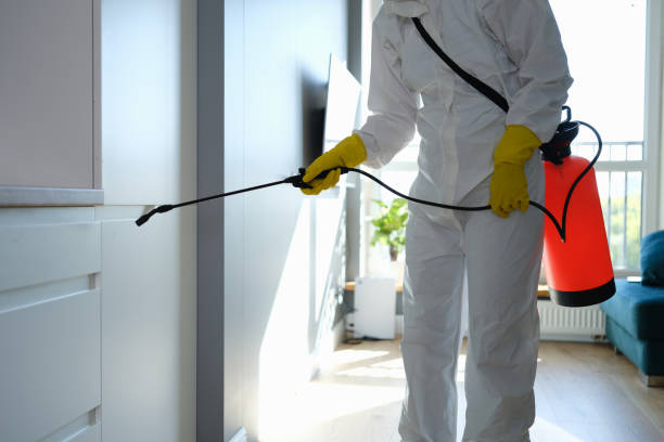 Best Mold Cleaning Services  in Garrison, ND